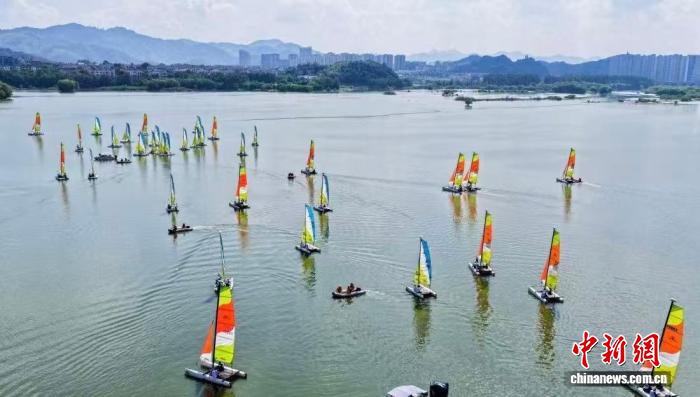 2025中国家庭帆船赛杭州站启航 宠物家庭共赴水上