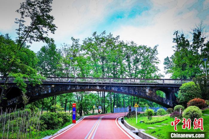 细雨晨光下的梵净山马拉松:智慧赛道吸引超过